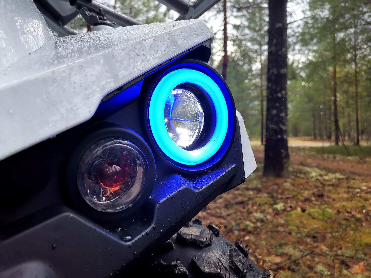 Квадроцикл PROMAX RENEGADE 280 (2025) в Евпатории