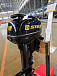 Лодочный мотор STELS 9.9HP в Евпатории