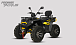 Квадроцикл PROMAX TAURUS 300 MAX-PRO LONG в Евпатории